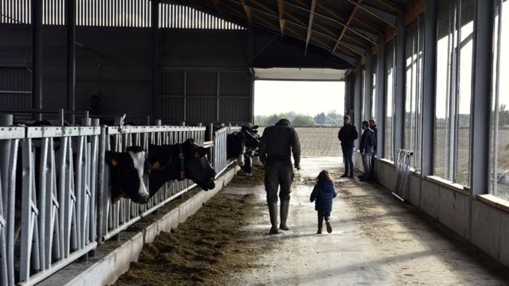 La famille n’est plus toujours à même de fournir un repreneur au chef d’exploitation sur le point de transmettre sa ferme. © Cédric Faimali/GFA