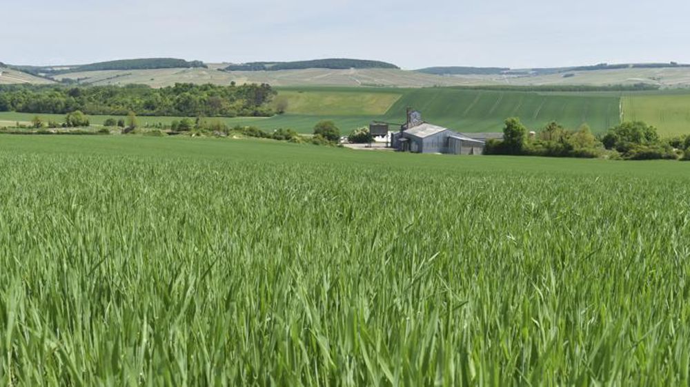 Une mission d’information parlementaire, destinée à « évaluer tous les enjeux du système unique des coopératives » sera ouverte à la rentrée, a annoncé le député Roland Lescure, président de la commission des affaires économiques de l’Assemblée nationale, le 24 juin 2021. © Cédric Faimali/GFA