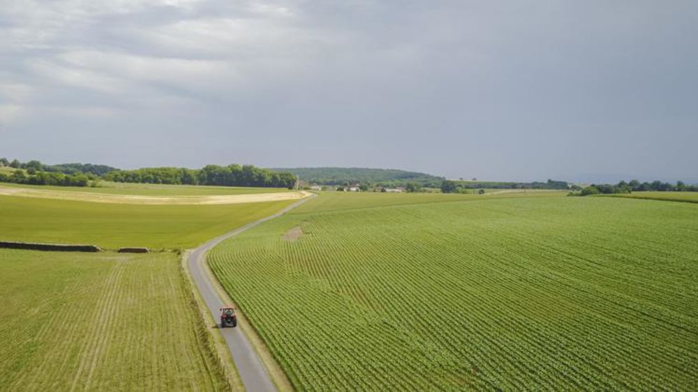 Un amendement à la proposition de loi « visant à protéger la rémunération des agriculteurs » acte que les indicateurs de coût de production pourront être fixés par les instituts techniques quand les interprofessions n’y parviennent pas. © Cédric Faimali/GFA