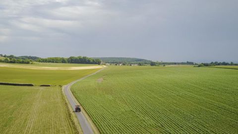 Un amendement à la proposition de loi « visant à protéger la rémunération des agriculteurs » acte que les indicateurs de coût de production pourront être fixés par les instituts techniques quand les interprofessions n’y parviennent pas. © Cédric Faimali/GFA Un amendement à la proposition de loi « visant à protéger la rémunération des agriculteurs » acte que les indicateurs de coût de production pourront être fixés par les instituts techniques quand les interprofessions n’y parviennent pas. © Cédric Faimali/GFA