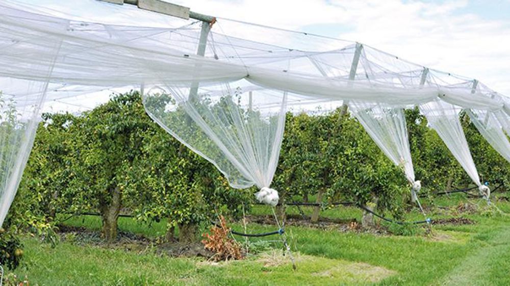 © Philippe Dufour/Interfel