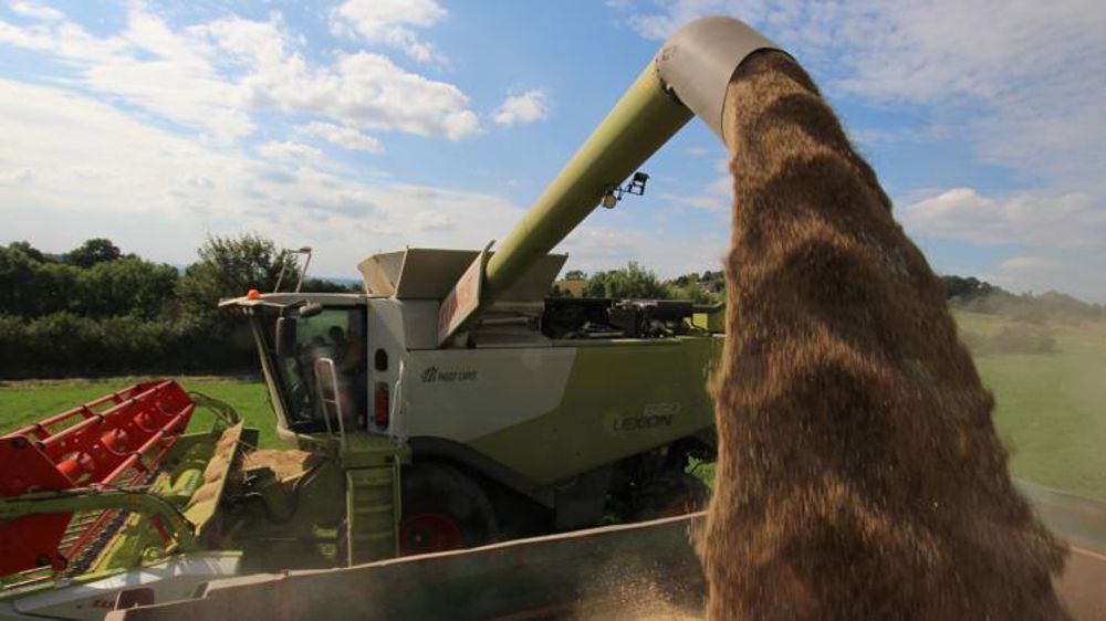 Le Copa-Cogeca annonce une récolte de blé tendre en progression de 7 % en 2021 par rapport à 2020, pour atteindre 130 millions de tonnes. © P. Peeters
