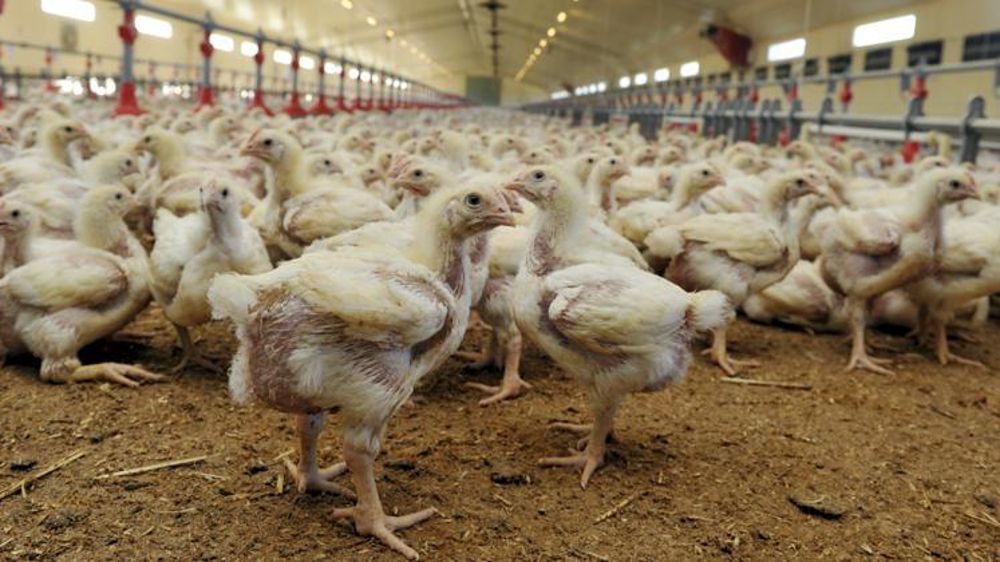 © Cédric Faimali/GFA