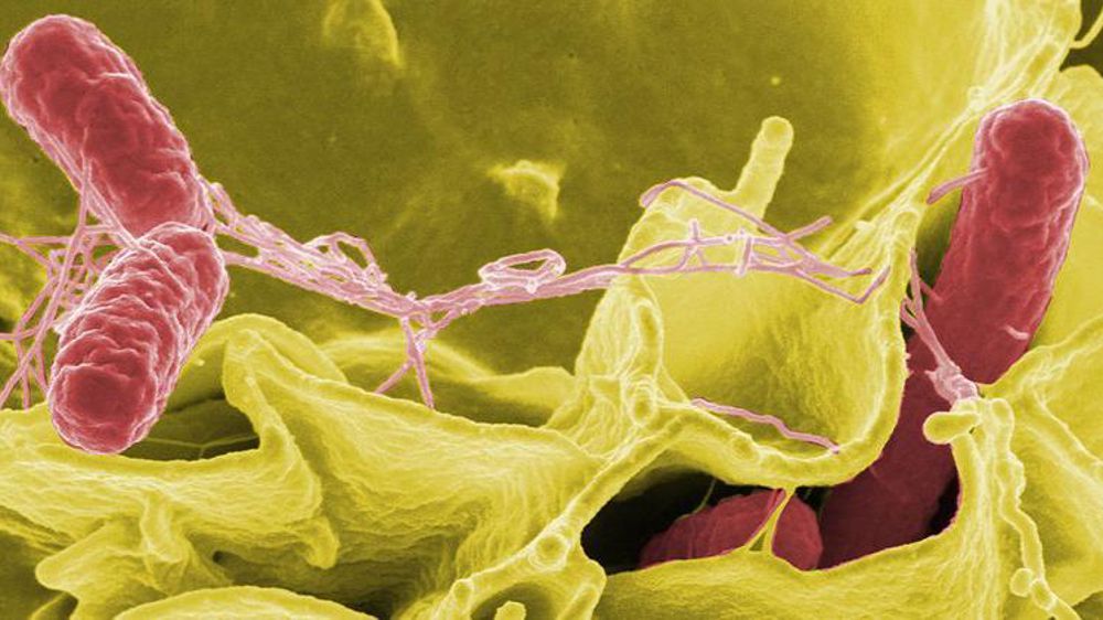 Photo d’illustration. © Wikipedia commons