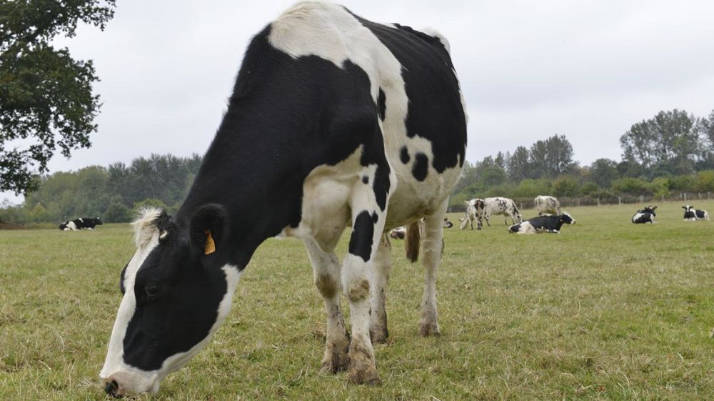 © Cédric Faimali/GFA