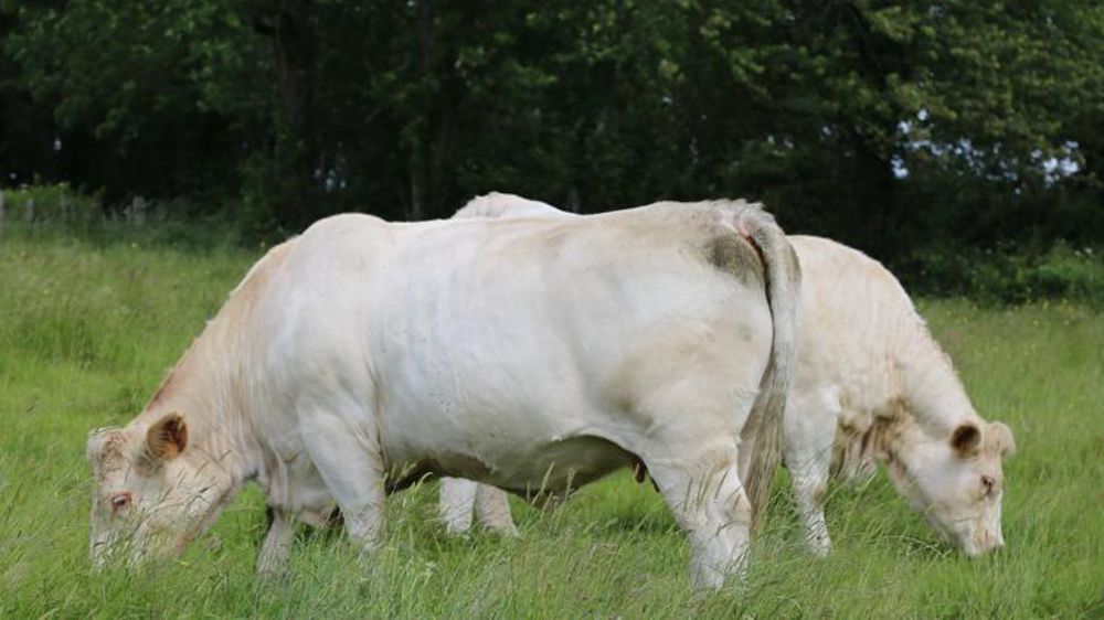 © M.-F. Malterre/GFA