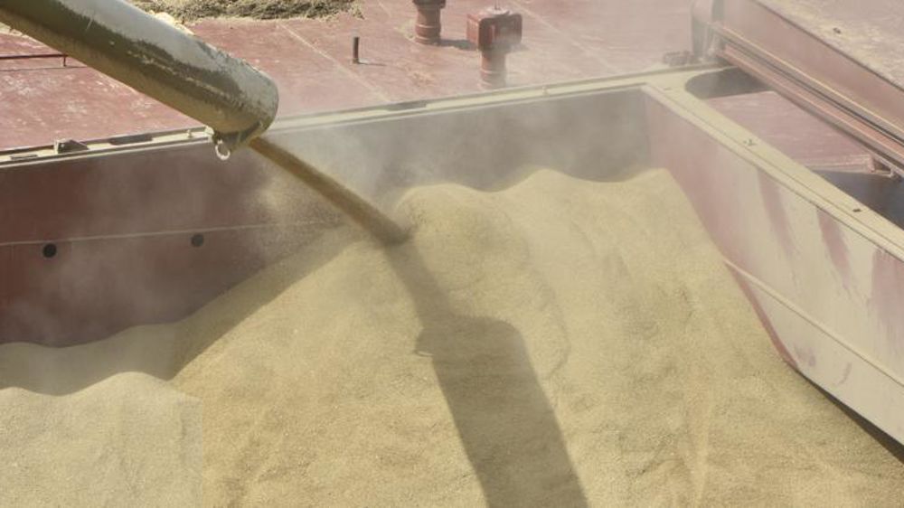 Les exportations de céréales, et plus particulièrement de blé tendre, reculent en juin 2021, par rapport à juin 2020. © Cédric Faimali/GFA