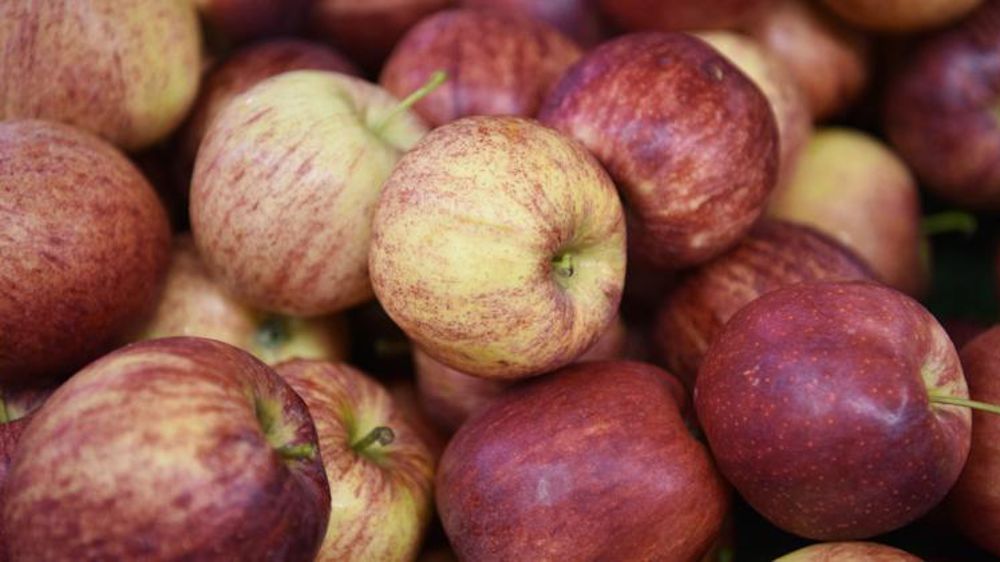 L’association nationale pommes poires (ANPP) souhaite lutter contre la fraude sur l’origine. © Cédric Faimali