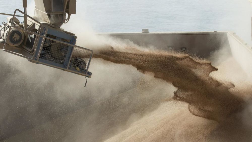 Chargement d’un navire en grains de blé. © Sébastien Champion/GFA