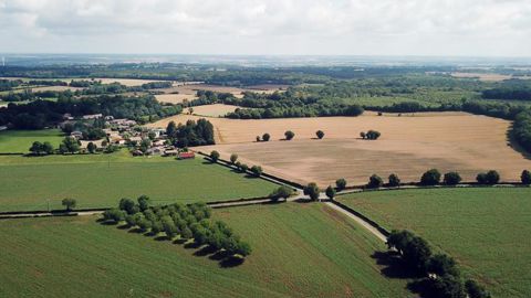 La réforme de l’assurance récolte et du fonds national de gestion des risques agricoles (FNGRA, ex-fonds des calamités) devrait entrer en vigueur en 2023. © Cédric Faimali/GFA La réforme de l’assurance récolte et du fonds national de gestion des risques agricoles (FNGRA, ex-fonds des calamités) devrait entrer en vigueur en 2023. © Cédric Faimali/GFA