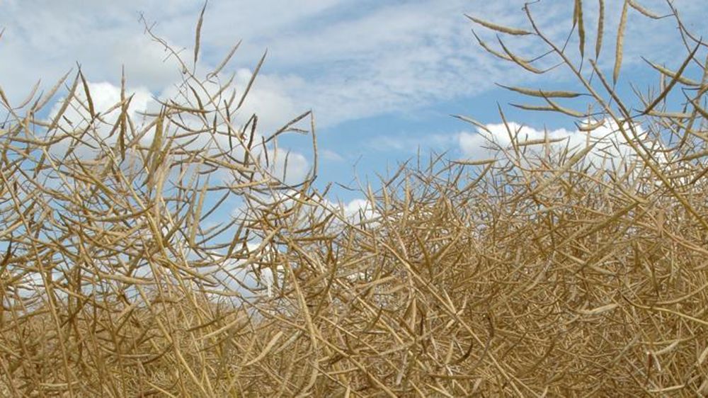 © Pascal Crapon/GFA