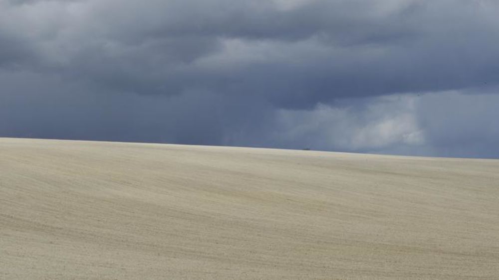 Une nouvelle étude d’impact de la stratégie « De la ferme à la fourchette » prévoit une baisse de 20 % de la production de céréales, oléagineux et bovins viande. © Cédric Faimali/GFA