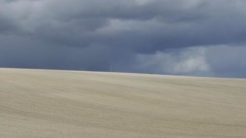 Une nouvelle étude d’impact de la stratégie « De la ferme à la fourchette » prévoit une baisse de 20 % de la production de céréales, oléagineux et bovins viande. © Cédric Faimali/GFA Une nouvelle étude d’impact de la stratégie « De la ferme à la fourchette » prévoit une baisse de 20 % de la production de céréales, oléagineux et bovins viande. © Cédric Faimali/GFA