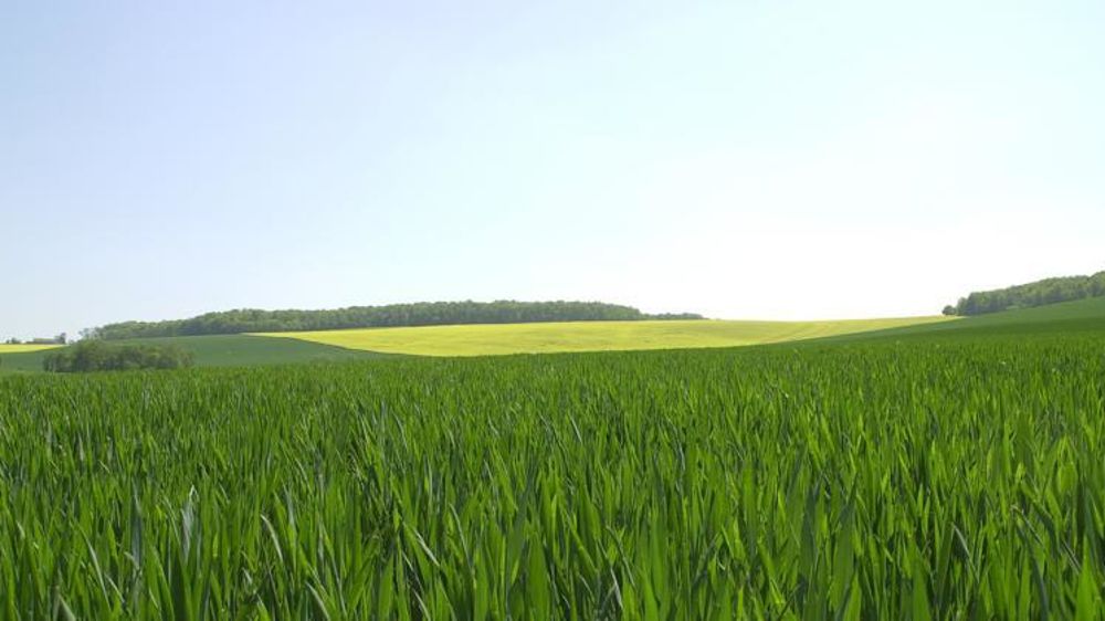 © Pascal Crapon/GFA