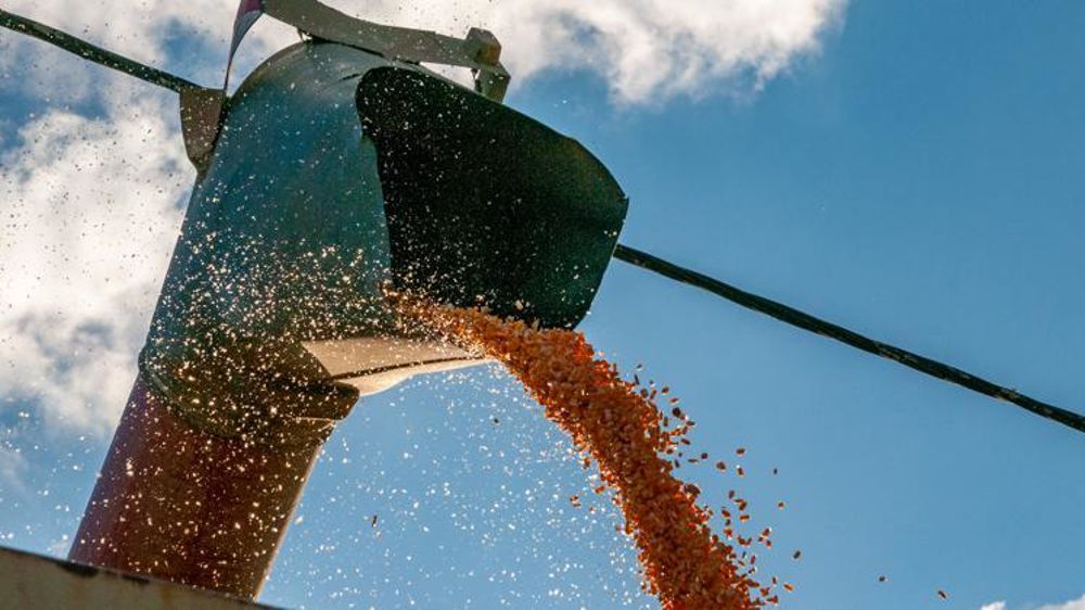 © Agnès Massiot/GFA