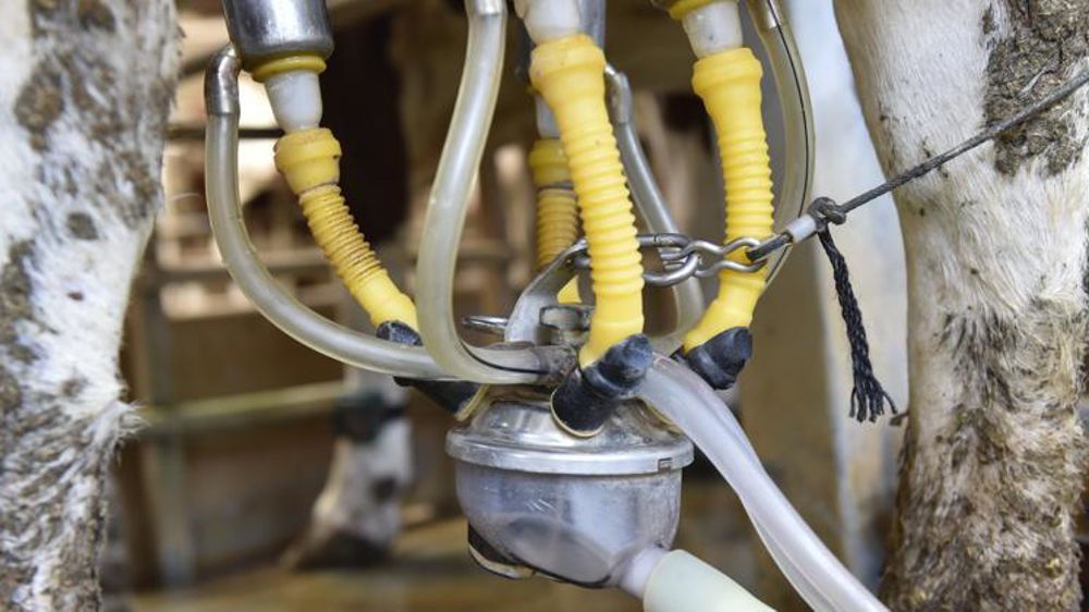 © Cédric Faimali/GFA