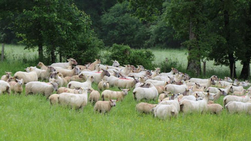 © M.-F. Malterre/GFA