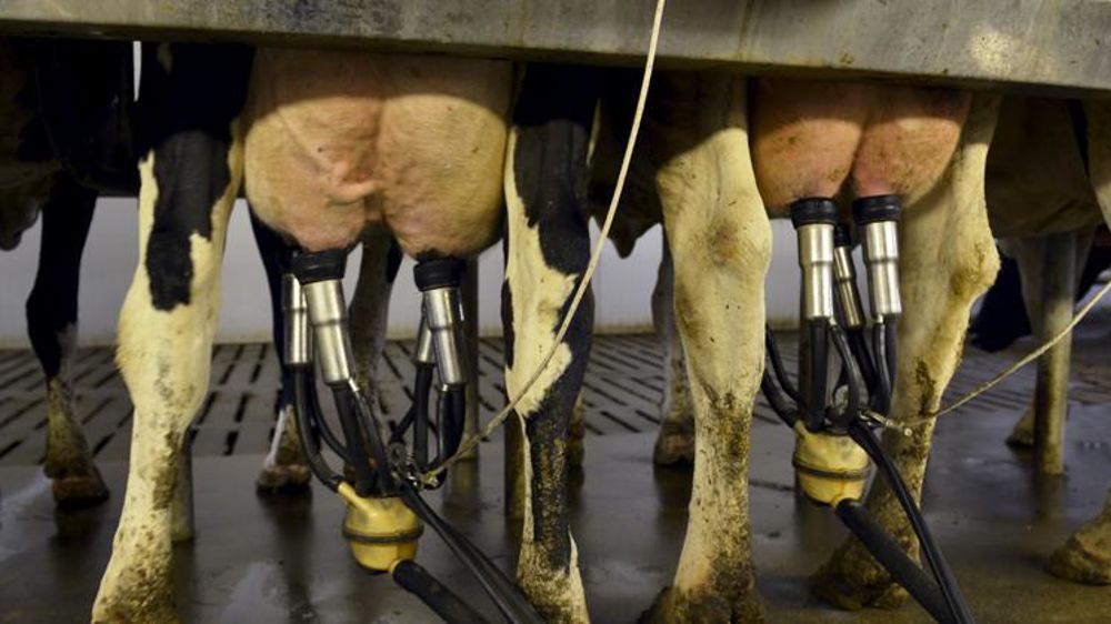 © Cédric Faimali/GFA