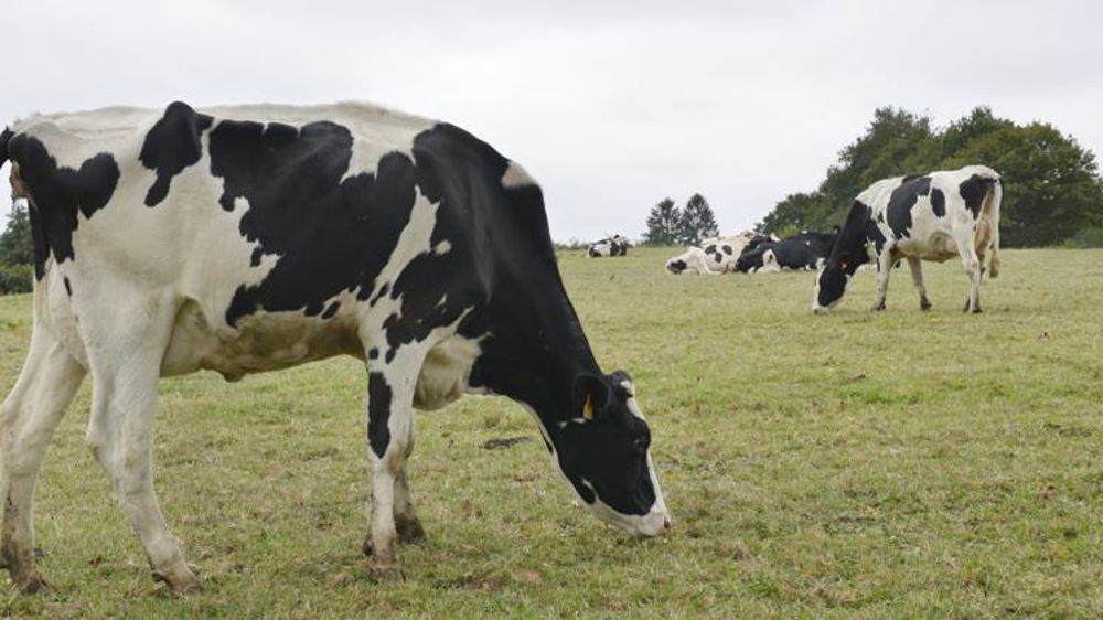 © Cédric Faimali/GFA