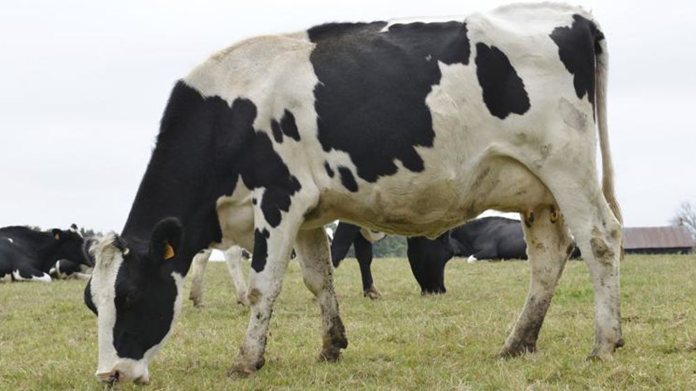 © Cédric Faimali/GFA