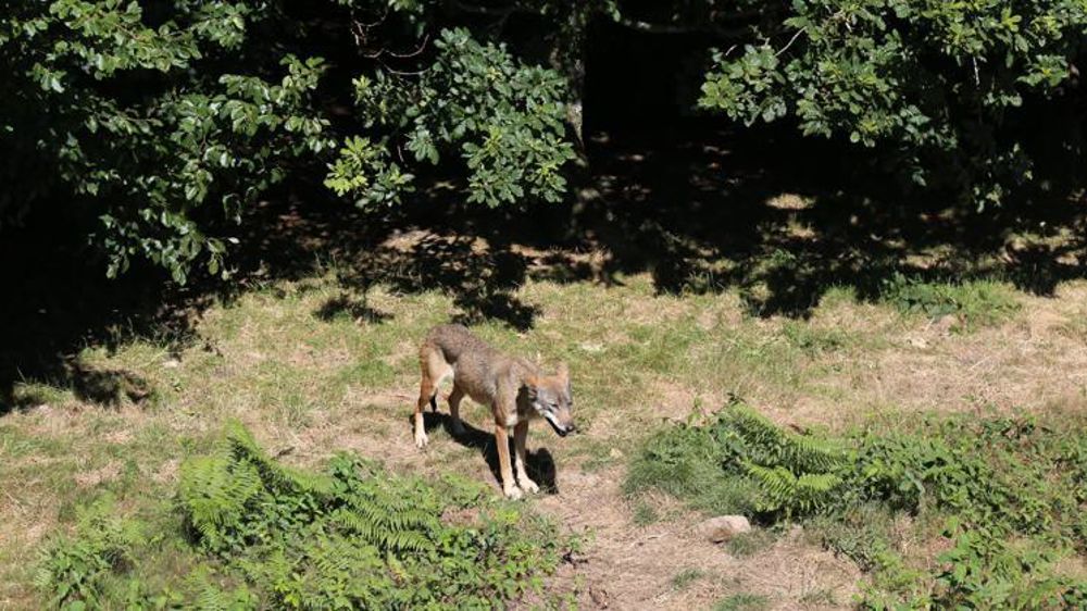 © M.-F. Malterre/GFA