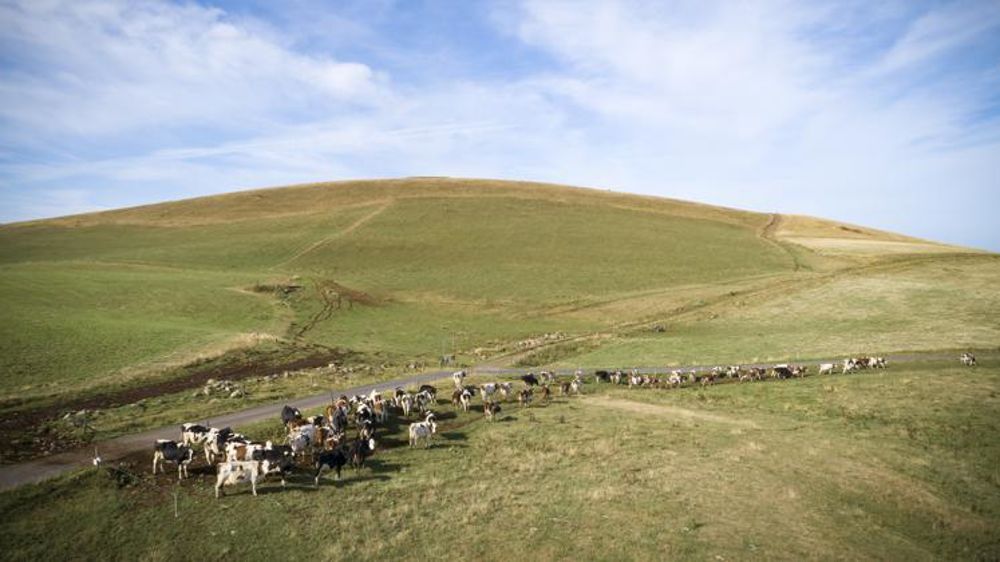 Le coefficient stabilisateur définitif a été fixé à 0,95 pour la France métropolitaine hors Corse pour la campagne de 2021. © Jérôme Chabanne