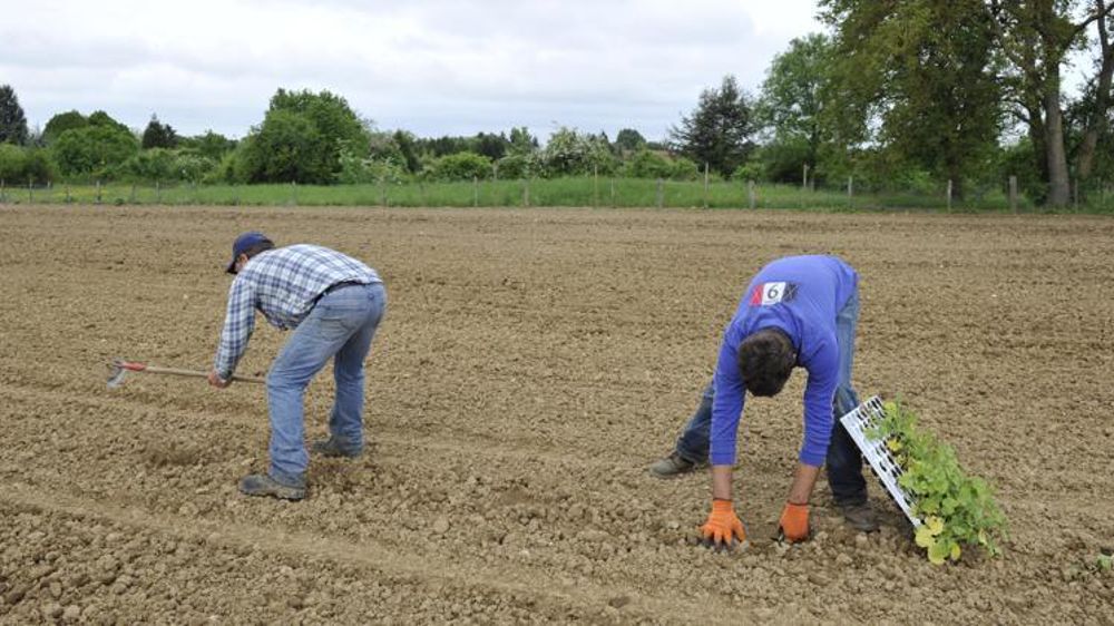 © Cédric Faimali/GFA