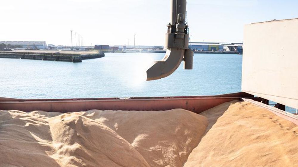 Transport de céréales par cargo. © Claudius Thiriet