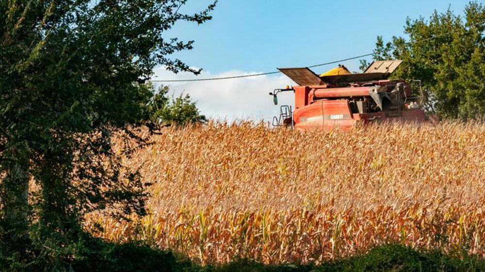 © Agnès Massiot/GFA