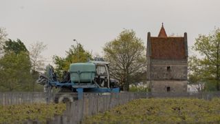 La maire de Parempuyre, dans le Médoc, a décidé de maintenir son arrêté interdisant les pesticides sur sa commune, malgré la demande de la préfecture (photo d’illustration). © L. Wangermez La maire de Parempuyre, dans le Médoc, a décidé de maintenir son arrêté interdisant les pesticides sur sa commune, malgré la demande de la préfecture (photo d’illustration). © L. Wangermez