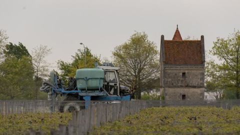 La maire de Parempuyre, dans le Médoc, a décidé de maintenir son arrêté interdisant les pesticides sur sa commune, malgré la demande de la préfecture (photo d’illustration). © L. Wangermez La maire de Parempuyre, dans le Médoc, a décidé de maintenir son arrêté interdisant les pesticides sur sa commune, malgré la demande de la préfecture (photo d’illustration). © L. Wangermez