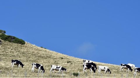 Le ministre de l’Agriculture doit se prononcer sur un transfert des aides du premier pilier vers le deuxième, pour financer notamment l’ICHN. © Jérôme Chabanne Le ministre de l’Agriculture doit se prononcer sur un transfert des aides du premier pilier vers le deuxième, pour financer notamment l’ICHN. © Jérôme Chabanne