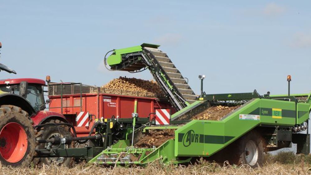 La production française de pommes de terre augmenterait de 10 % en 2019 par rapport à 2018, qui était une année décevante. © Pierre Peeters