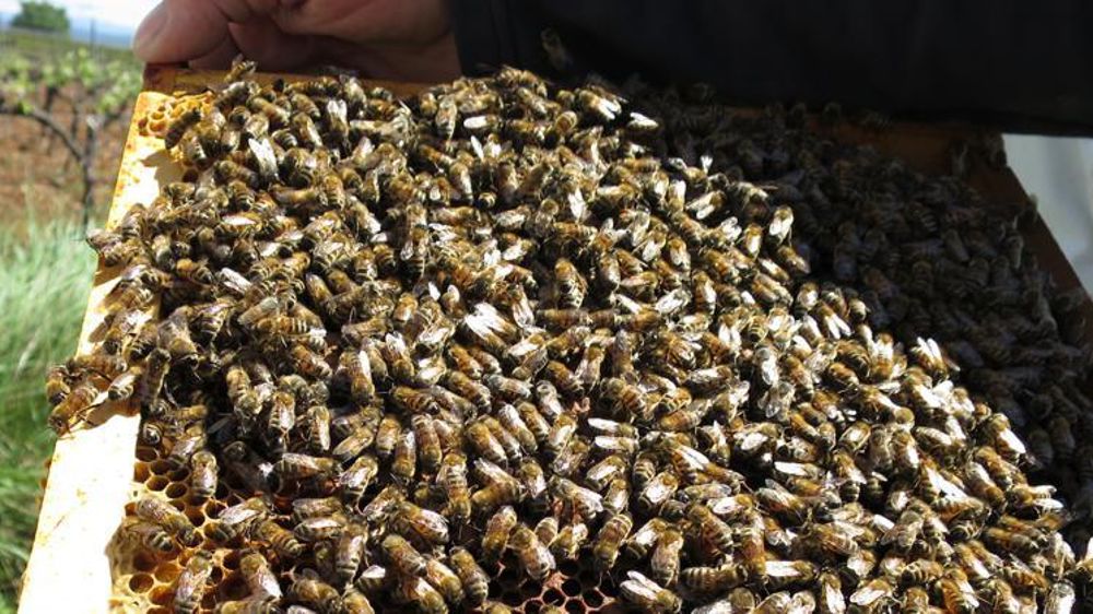 © C. Fricotté/GFA