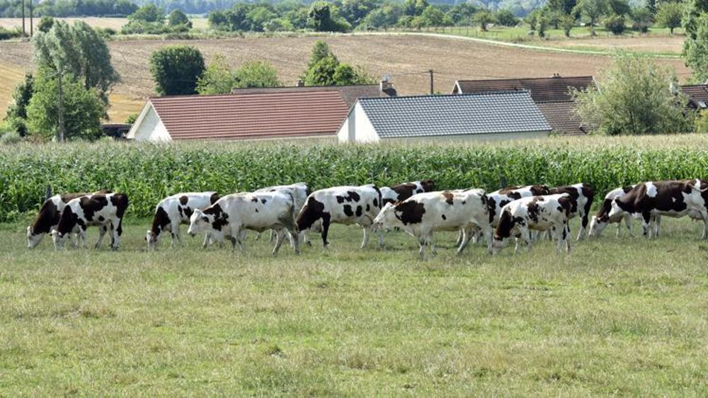 © Cédric Faimali/GFA