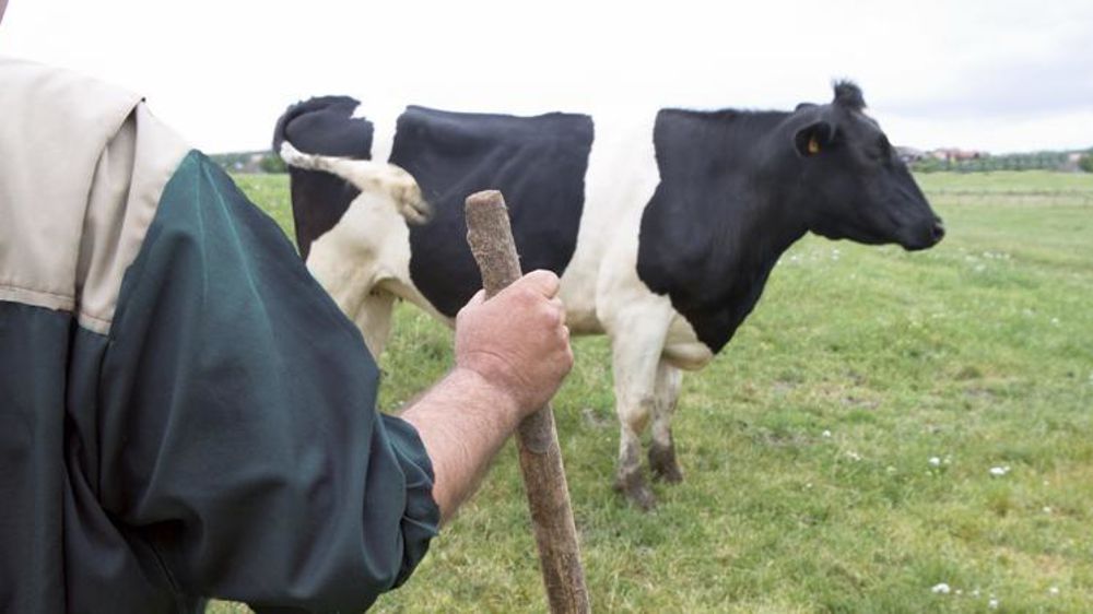 La CR déplore la décision des ministères du gouvernement de ne plus financer le dispositif de l’aide au répit. © Claudius Thiriet