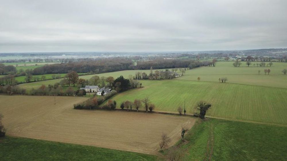 La consultation publique du plan stratégique national entre le 13 novembre et le 12 décembre a généré près de 3 000 contributions, dont près de la moitié sont des réponses-types du collectif « Pour une autre Pac ». © Cédric Faimali/GFA