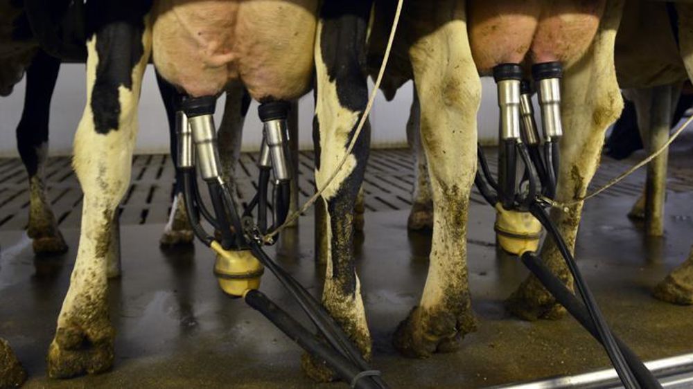 © Cédric Faimali/GFA