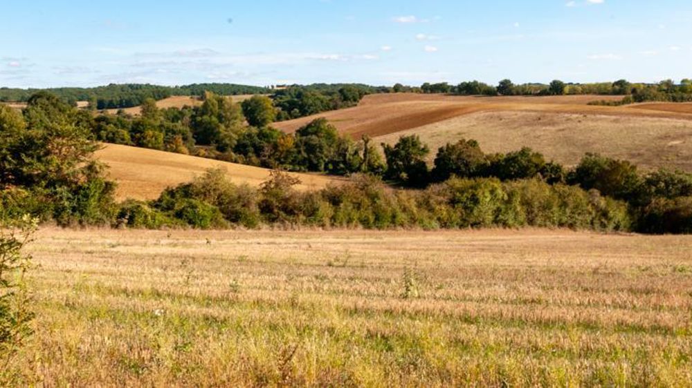 Le ministre de l’Agriculture a annoncé la création de trois groupes de travail sur les problèmes rencontrés par la filière arboricole, l’articulation entre les assurances et le fonds national de gestion des risques (FNGRA) et les moyens de sensibilisation et d’information des agriculteurs sur la gestion des risques. © Agnès Massiot/GFA