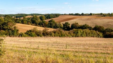 Le ministre de l’Agriculture a annoncé la création de trois groupes de travail sur les problèmes rencontrés par la filière arboricole, l’articulation entre les assurances et le fonds national de gestion des risques (FNGRA) et les moyens de sensibilisation et d’information des agriculteurs sur la gestion des risques. © Agnès Massiot/GFA Le ministre de l’Agriculture a annoncé la création de trois groupes de travail sur les problèmes rencontrés par la filière arboricole, l’articulation entre les assurances et le fonds national de gestion des risques (FNGRA) et les moyens de sensibilisation et d’information des agriculteurs sur la gestion des risques. © Agnès Massiot/GFA