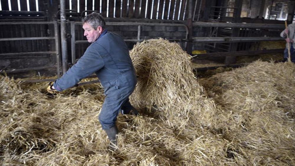 La grille des salaires minimums de la production agricole et des Cuma connaît une nouvelle revalorisation au début de 2022. © Cédric Faimali/GFA
