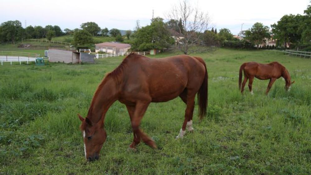 © M.-F. Malterre/GFA