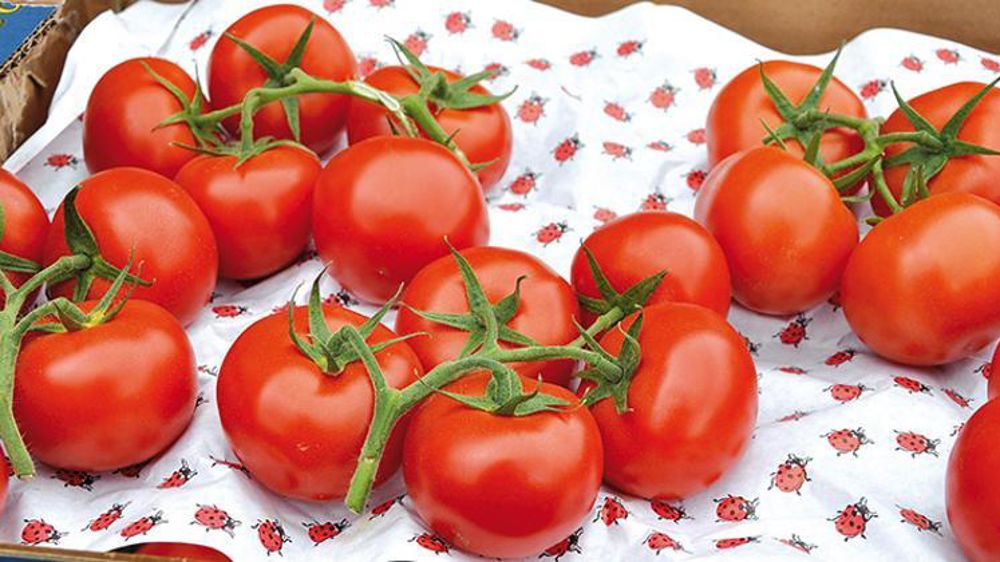 © Philippe Dufour/Interfel