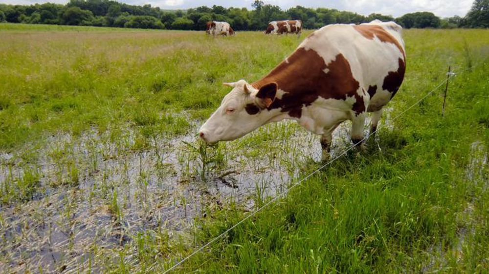 La Codar devra rendre son avis sur la pertinence des critères retenus pour déterminer les pertes de récolte. © Marylou Bressand/GFA