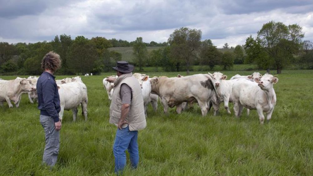 Le taux de renouvellement des exploitants agricoles reste à 3,1 %, un chiffre stable par rapport à l’an passé © C. Watier