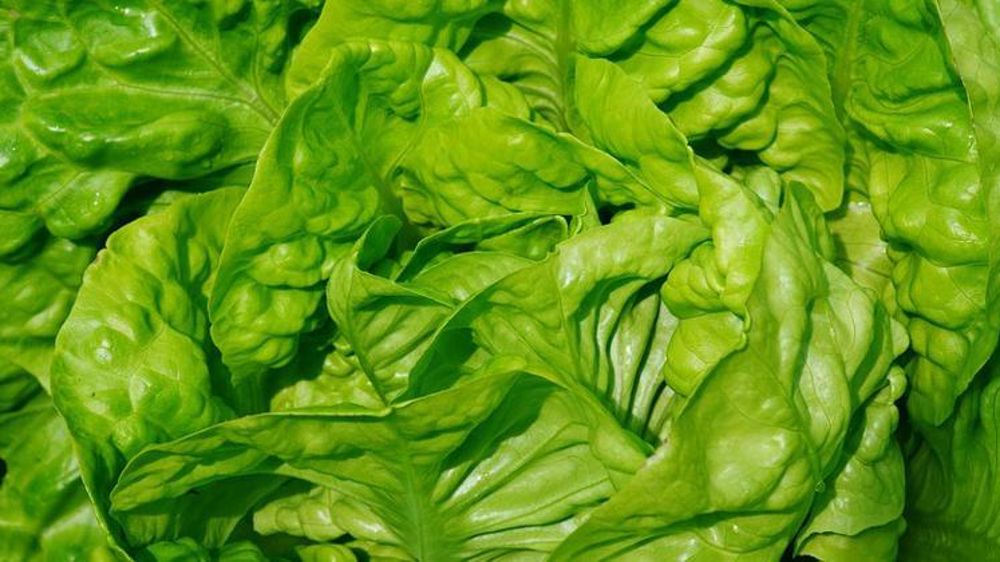 © congerdesign/Pixabay