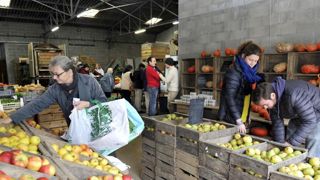 La vente directe de produits issus de l’agriculture biologique représente un chiffre d’affaires d’un milliard d’euros sur les 8,4 milliards d’euros de produits bio achetés au total, en 2017. © Cédric Faimali/GFA La vente directe de produits issus de l’agriculture biologique représente un chiffre d’affaires d’un milliard d’euros sur les 8,4 milliards d’euros de produits bio achetés au total, en 2017. © Cédric Faimali/GFA