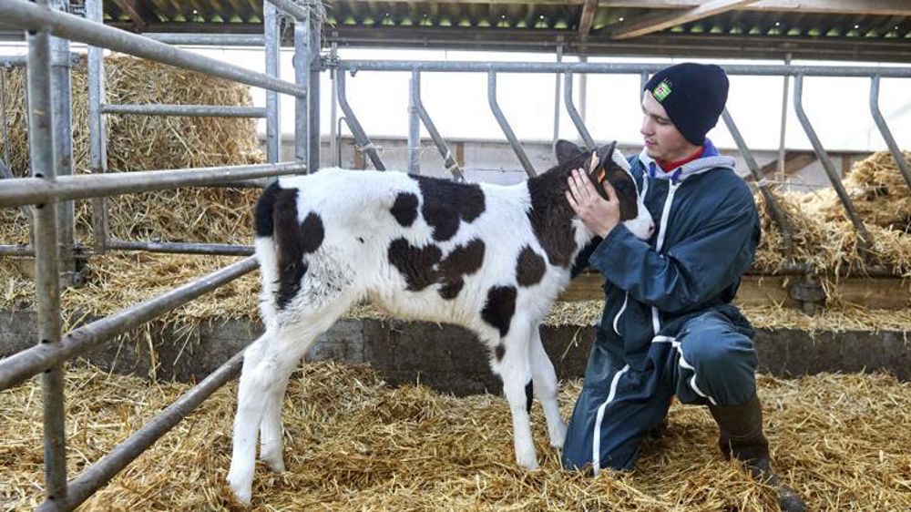 La majoration de l’aide aux employeurs d’apprentis, de 5 000 à 8 000 €, est prolongée  pour les contrats signés jusqu’au 31 décembre 2022. © Thierry Pasquet