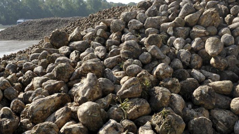 © Cédric Faimali/GFA