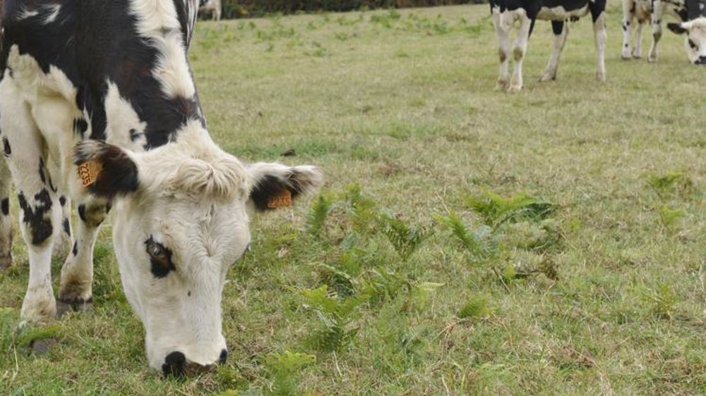 Photo d’illustration © C. Faimali/GFA